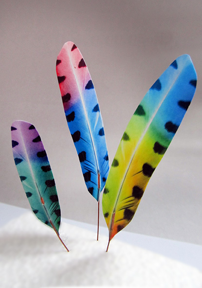fantasy_feathers-2